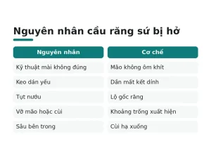 Nguyên nhân cầu răng sứ bị hở