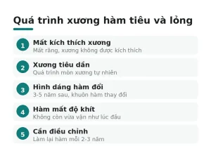 Quá trình xương hàm tiêu và lỏng