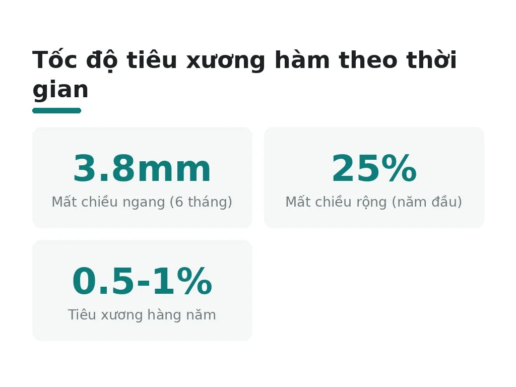 Tốc độ tiêu xương hàm theo thời gian