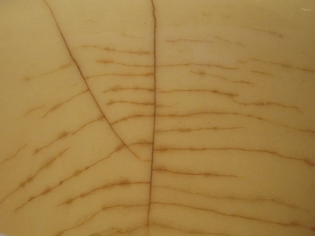 cracked porcelain crown